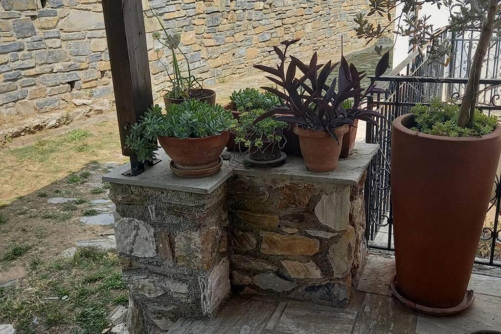 Pelion Cottage Μηλιές Εξωτερικό φωτογραφία